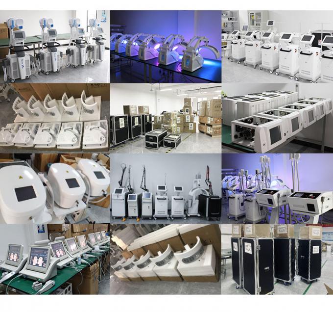 800w آلة العلاج بالتبريد الوجه -20c آلة تبريد الجلد Zimmer العلاج بالتبريد 14