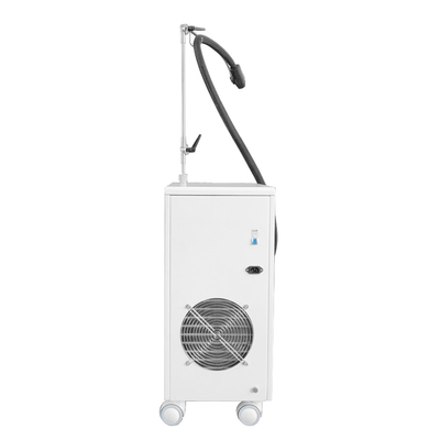 800w آلة العلاج بالتبريد الوجه -20c آلة تبريد الجلد Zimmer العلاج بالتبريد