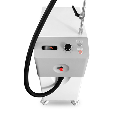 800w آلة العلاج بالتبريد الوجه -20c آلة تبريد الجلد Zimmer العلاج بالتبريد