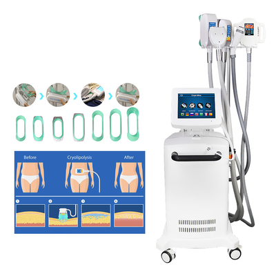 تبريد آلة التخسيس Cryolipolysis لخفض الدهون