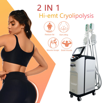 آلة Cryolipolyse EMS 360 Cryo لتجميد الدهون وإزالة السيلوليت
