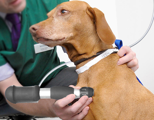 الطب البيطري العلاج بالعظام والحيوانات ESWT آلة تدليك الموجات الصوتية