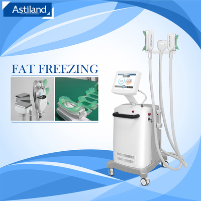 2000W Cryo & shockwave 8 حجم الرأس لآلة إزالة الدهون