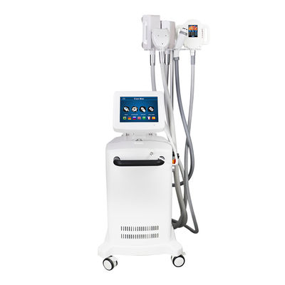 5 مقابض Cryo آلة التخسيس لتخفيف الوزن