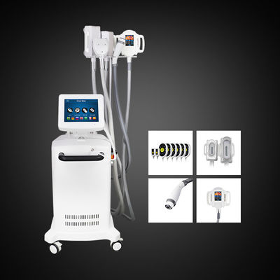 5 مقابض Cryolipolysis التخسيس آلة تخفيض الدهون في البطن
